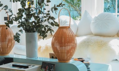 Idea of denouncing pleasure and praising pain was born